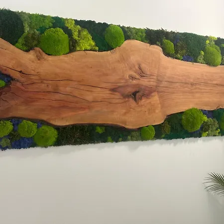 Peky Apartman Červená Voda